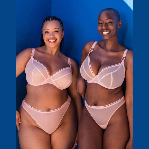 NEW Pink Mesh Bra & Panty Set By Curvy Kate Sz 38DDD/G & XL Sheer Baby Pink - Picture 2 of 8